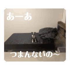 K_20241213173826