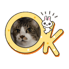 chibineko04240608
