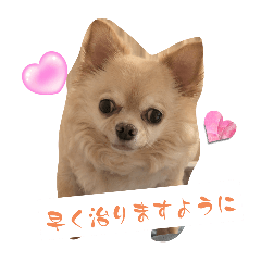 Audrey_20241213182905