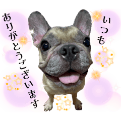 yama_20241213200604
