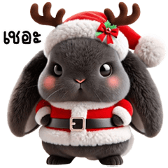 Little Rabbit Dummy, Santa Claus Costume