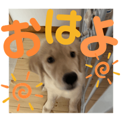 hanako_20241213221816