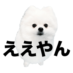 saruchi_20241214001544