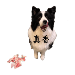 三隻肥狗