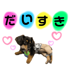 miki_20241213185830