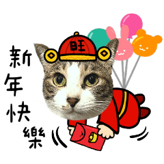 妹妹是隻貓之蛇年大吉