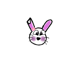 rabbit_20241214035028