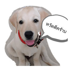 Kun Kun_20241213233709