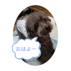 Coco_20241214111111