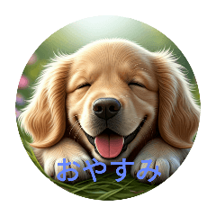 Putty*coco_20241213233526