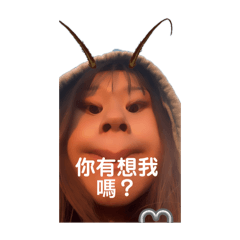 17之2