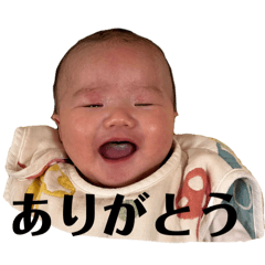 ai_20241214105248