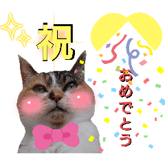 Eripon_20241214123256