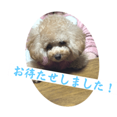 aru_20241214124239