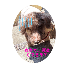 Coco_20241214134834