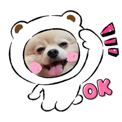 Kana_20241214202734