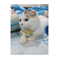 OumBun_20241214143003