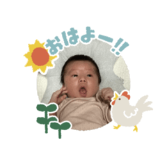 saku_20241214193946