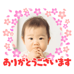 sayuri_20241214153324