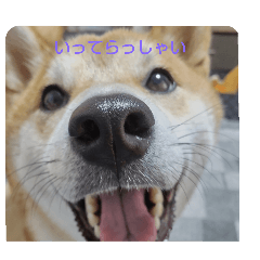 GON_20241215104551