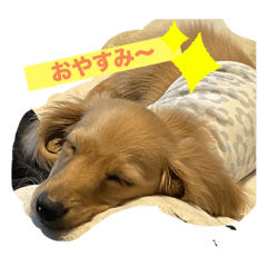 Marinny_20241214165708