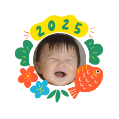 ai_20241214191416