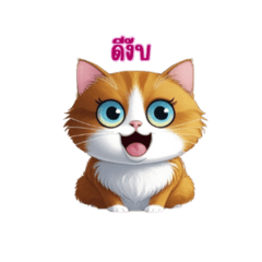 Cute cat funny cat