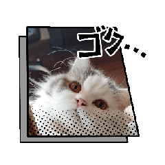 Hana_20241215132656