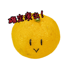Saku_20241215012319