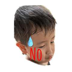 Ymaru_20241215124829