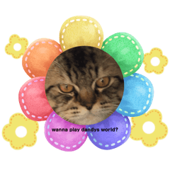 Snoopycat