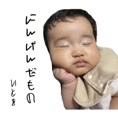 piyo_20241214201959