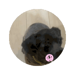 Mine_20241215121039