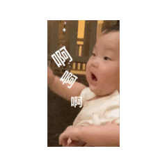 樺の日常2（動態）