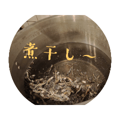 mai_20241214230606