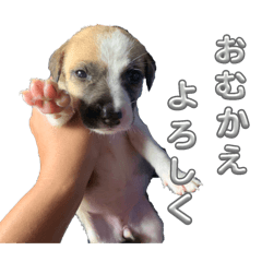 Miki_20241215001826