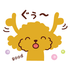 Toy poodle_Words of gratitude