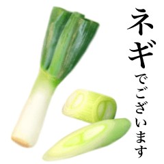 Extra green onion 2