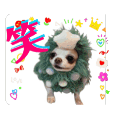 Non_20241215235221