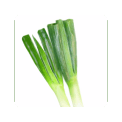 Spring onion "Move"