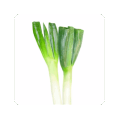 Spring onion "Vigorous Move"