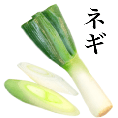 Extra green onion 4