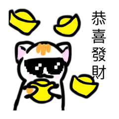 小喵喵可愛日常