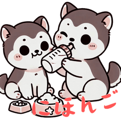 Baby Hhusky Life (Japanese) Ver3