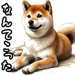 Shiba Inu for daily conversation