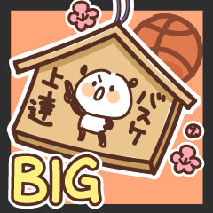 Panda working hard on basketball vol.10