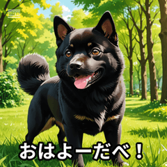 Kuro Shiba Tohoku Greetings!