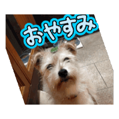 hana_20241215185906