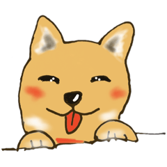 Shiba Inu communication