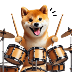 Shiba Inu Drummer